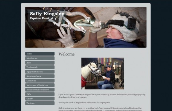 Sally Kingsley Equine Dentist
