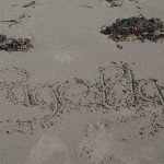 the word PagePlay written in sand