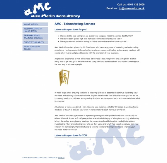 Alex Merlin Consultancy