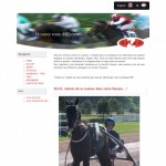Screenshot of Zilco Europe (French)