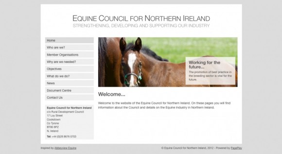 Equine Council of Northern Ireland