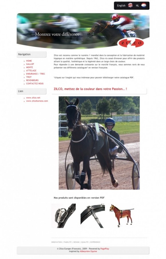 Screenshot of Zilco Europe (French)