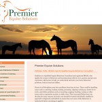 Premier Equine Solutions